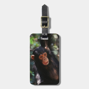 Etiqueta De Bagagem Jovem Chimpanzé