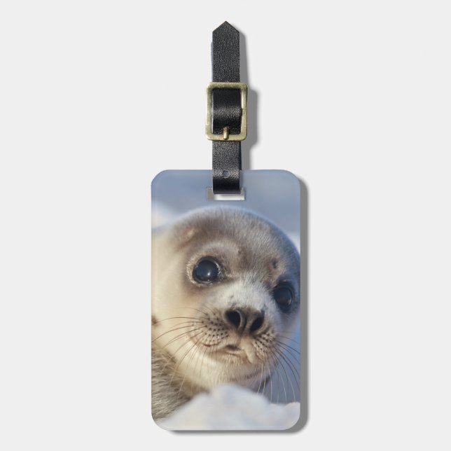 Etiqueta De Bagagem Jovem Harp Seal (Frente Vertical)