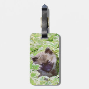 Etiqueta De Bagagem Keeshond Puppy na Pintura Original