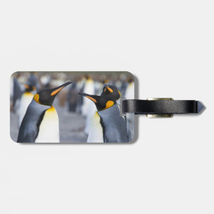 Etiqueta De Bagagem King Penguins