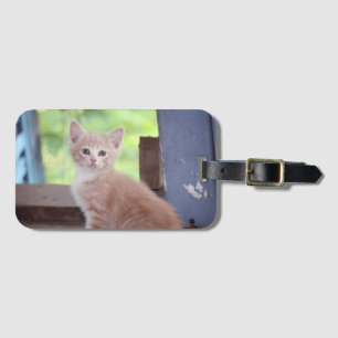 Etiqueta De Bagagem Kitten