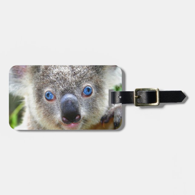 Etiqueta De Bagagem Koala Bears (Frente Horizontal)