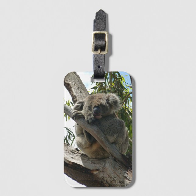 Etiqueta De Bagagem Koala - Dormindo (Frente Vertical)