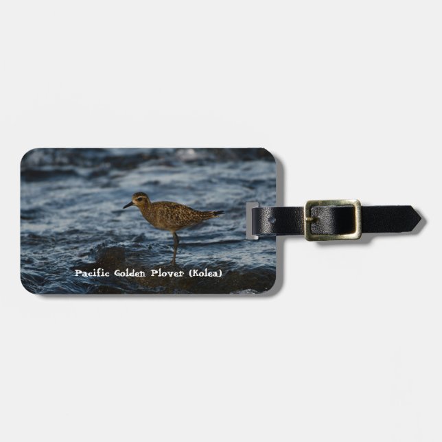 Etiqueta De Bagagem Kolea em pé na água (Frente Horizontal)