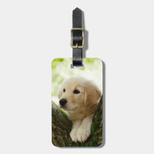 Etiqueta De Bagagem Labrador Sentado Em Um Cenário De Woodland