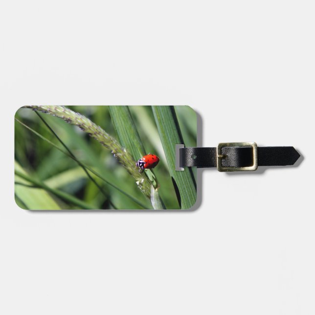 Etiqueta De Bagagem Ladybug (Coccinellidae) (Frente Horizontal)