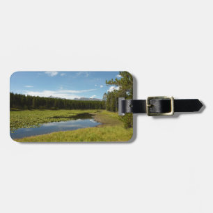 Etiqueta De Bagagem Lago dos Cisnes I no Parque Nacional Grand Teton