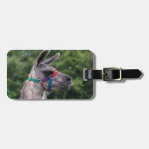 Etiqueta De Bagagem Lama
