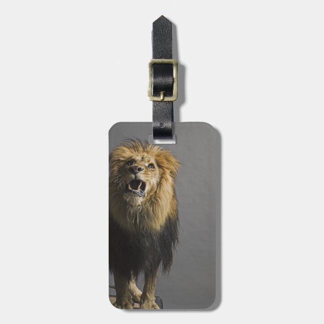 Etiqueta De Bagagem Leão que ruje (Frente Vertical)