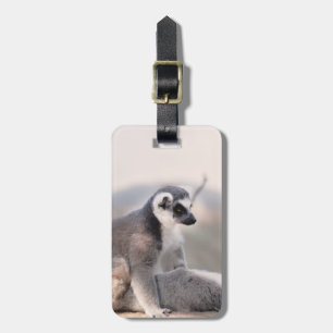 Etiqueta De Bagagem Lemur em Madagascar
