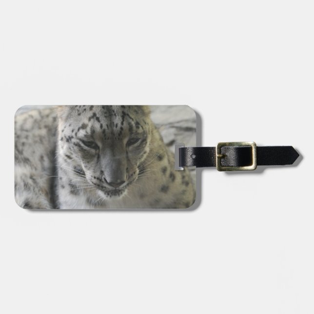Etiqueta De Bagagem Leopardo de neve bonito (Frente Horizontal)