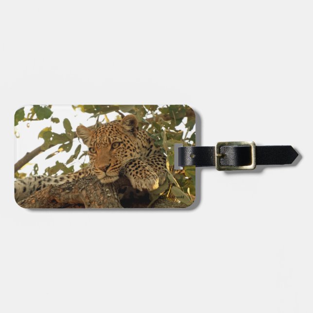 Etiqueta De Bagagem Leopardo em repouso (Frente Horizontal)