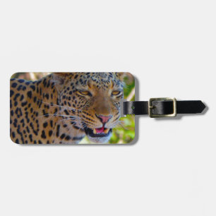 Etiqueta De Bagagem Leopardo Manchado