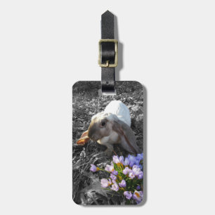 Etiqueta De Bagagem Lindo English Lop com Flores