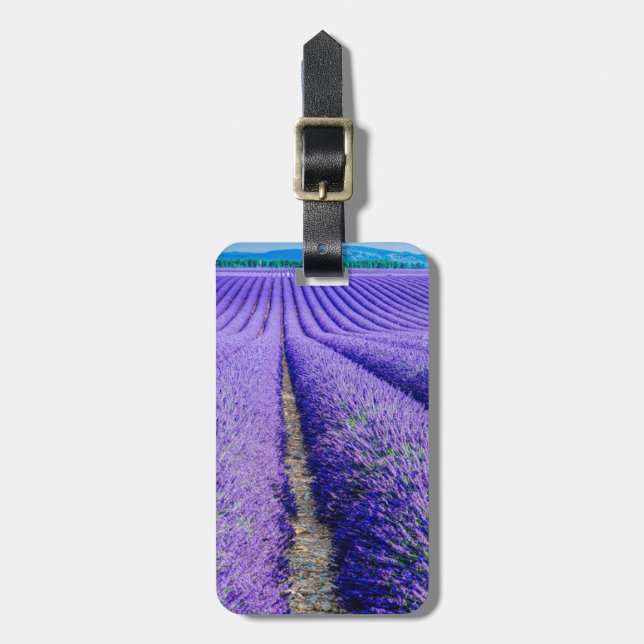 Etiqueta De Bagagem Linhas de Lavanda, Provença, França (Frente Vertical)