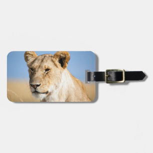 Etiqueta De Bagagem Lionalidade contra céu azul