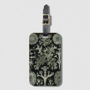 Etiqueta De Bagagem Líquen por Ernst Haeckel, Plantas da Natureza Vint