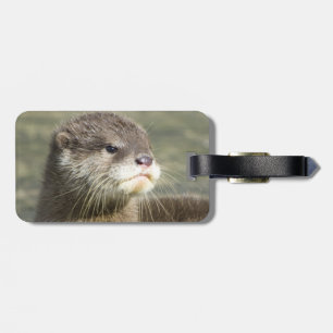 Etiqueta De Bagagem Lontra bonito do bebê