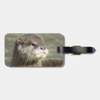 Etiqueta De Bagagem Lontra bonito do bebê