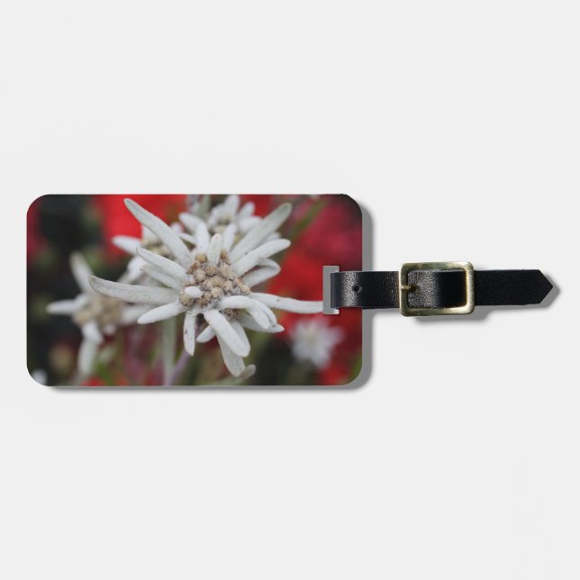 Etiqueta De Bagagem Lovely Edelweiss Leontopodium nivale (Frente Horizontal)