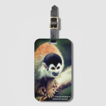 Macaco De Esquilo Em Árvore