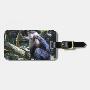 Etiqueta De Bagagem Macaco-prego-branco