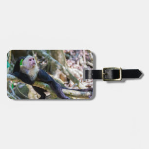 Etiqueta De Bagagem Macaco-prego-branco