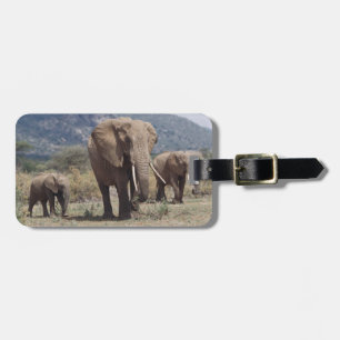 Etiqueta De Bagagem Mãe elefante andando com filhote de elefante