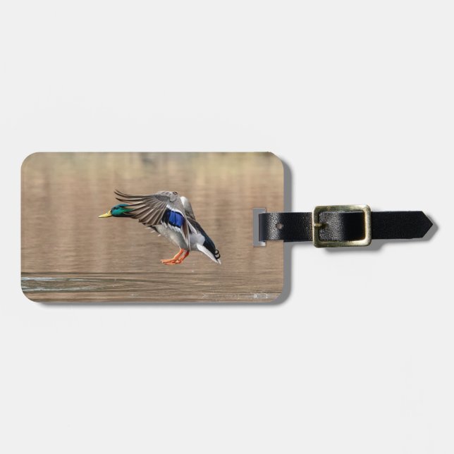 Etiqueta De Bagagem Mallard Duck em voo (Frente Horizontal)
