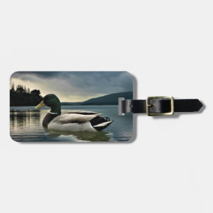 Etiqueta De Bagagem Mallard Duck No Lago