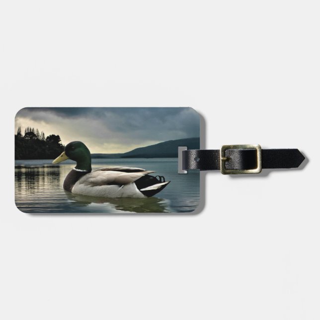 Etiqueta De Bagagem Mallard Duck No Lago (Frente Horizontal)