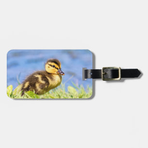 Etiqueta De Bagagem Mallard Duckling