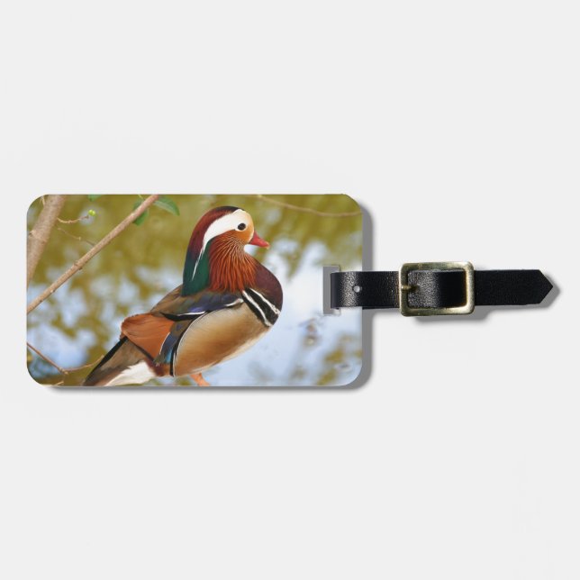 Etiqueta De Bagagem Mandarin Duck (Frente Horizontal)