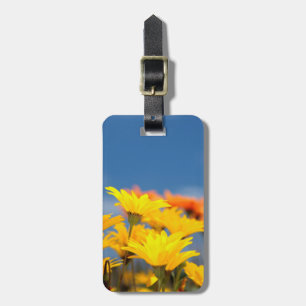 Etiqueta De Bagagem Margaridas Laranja e Amarelo de Namaqualand