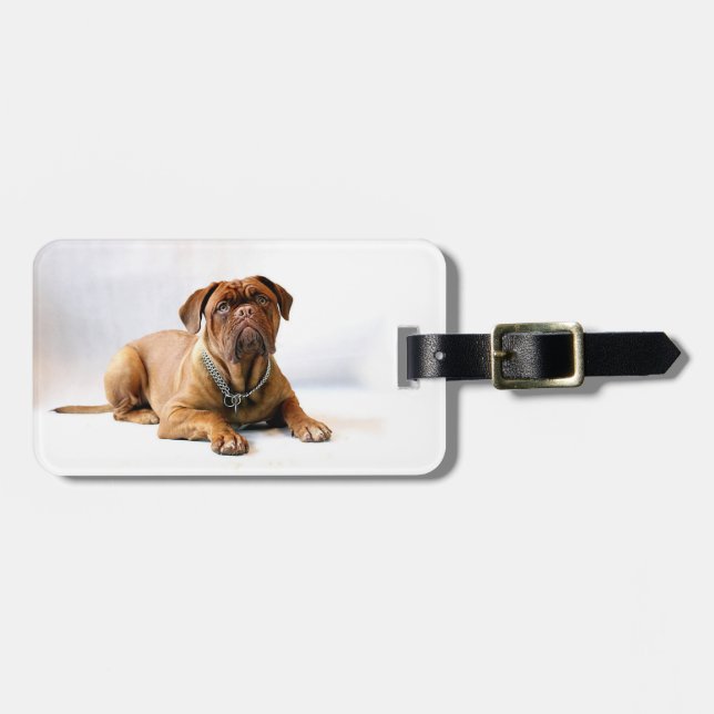 Etiqueta De Bagagem Mastiff Personalizado / Foto de Cachorro (Frente Horizontal)