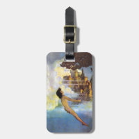Maxfield Parrish o livro Dinky do vintage do
