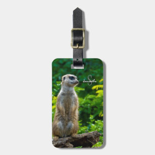 Etiqueta de Bagagem Meerkat