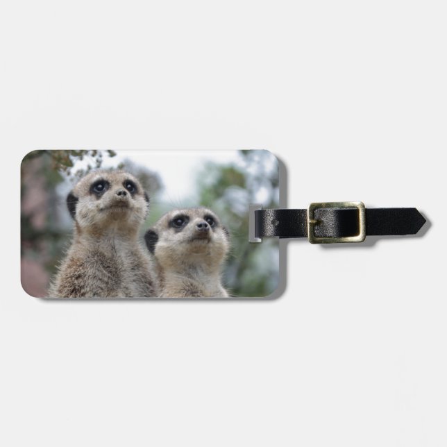 Etiqueta De Bagagem Meerkat - Dreamtem (Frente Horizontal)