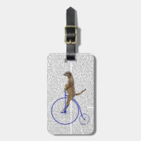 Meerkat Sobre A Farinha Da Penny Azul