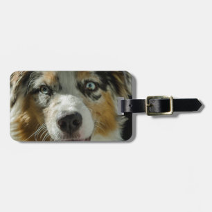 Etiqueta De Bagagem Menino do palhaço