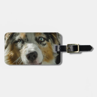 Etiqueta De Bagagem Menino do palhaço