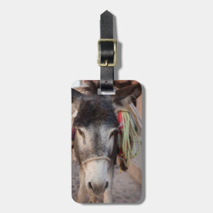 Etiqueta De Bagagem México, San Miguel De Allende 2