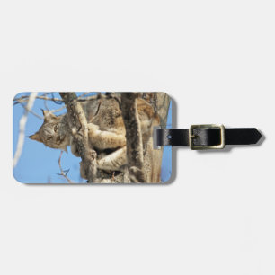 Etiqueta De Bagagem Mischievous Lynx