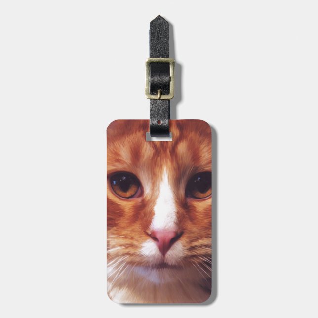 Etiqueta De Bagagem Murphy the Orange Tabby Cat (Frente Vertical)