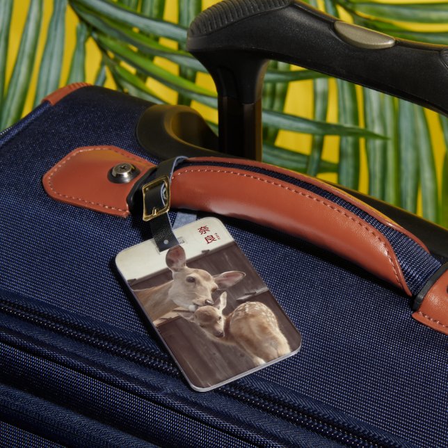 Etiqueta De Bagagem Nara, Japão - Sika Deer - Mãe e Fawn (Frente Insitu 1)