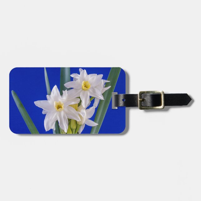 Etiqueta De Bagagem Narciso Primavera (Frente Horizontal)