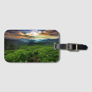 Etiqueta De Bagagem Nascer do sol sobre a fazenda do chá