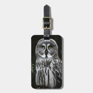 Etiqueta De Bagagem O cd da Cinza do Excelente ltcna