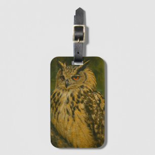 Etiqueta De Bagagem O Observador - Eurasian Eagle-Owl na Luz do Woodla