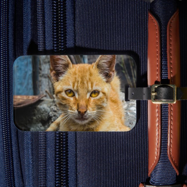 Etiqueta De Bagagem Olhos de ouro (Frente Insitu 4)